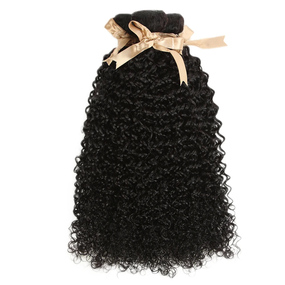 Luxury Kinky Curly Brazilian Single Hair Bundles