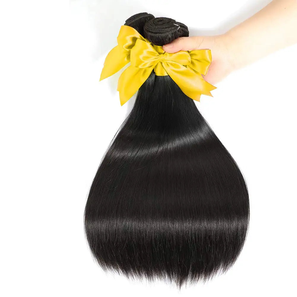 Luxury Brazilian Straight Hair Bundles