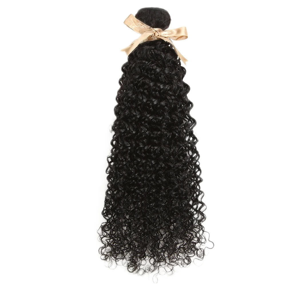 Luxury Kinky Curly Brazilian Single Hair Bundles